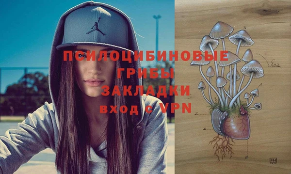 стафф Армянск