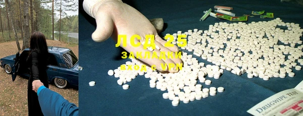 ПСИЛОЦИБИНОВЫЕ ГРИБЫ Арсеньев