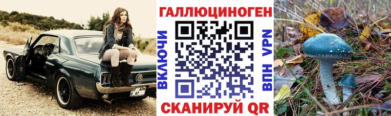 Псилоцибиновые грибы Psilocybine cubensis Болгар