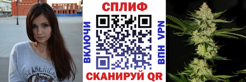 продажа наркотиков  площадка Telegram  Канабис планчик  Болгар 